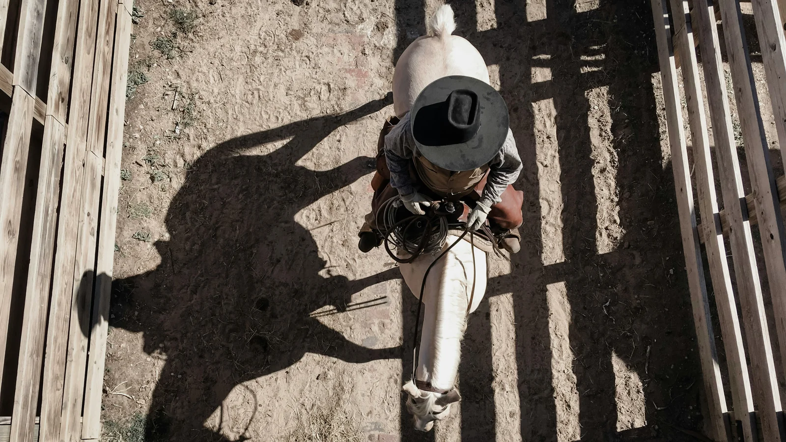 A cowboy on horseback working a chute in Texas, seen from above