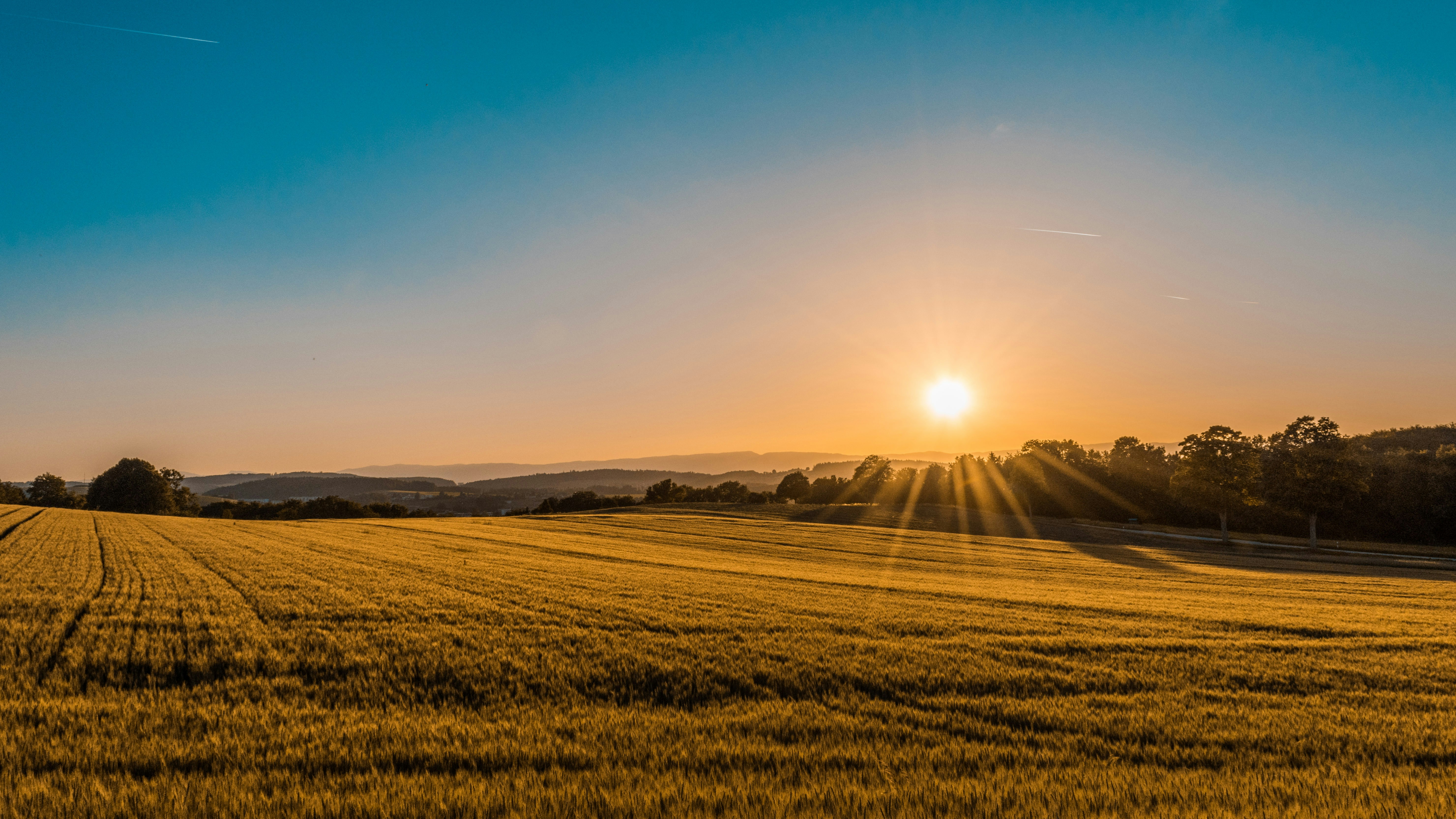 Open Texas field at golden hour sunset