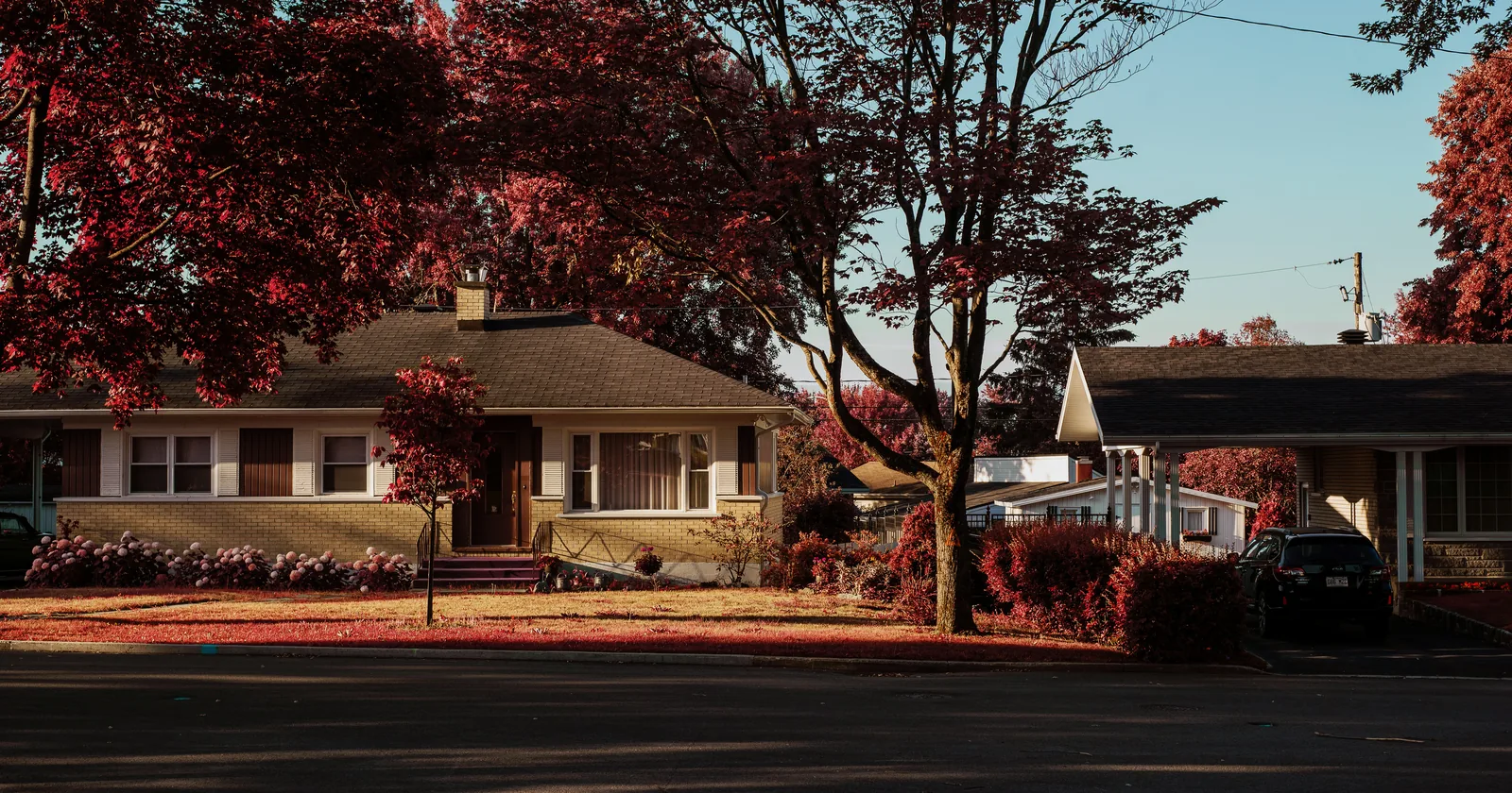 Shingle roofline on a single-story brick home, the roof being what last-resort property insurance covers